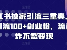 小红书独家引流三重奏，当天引流100+创业粉，流量爆炸不愁变现【揭秘】