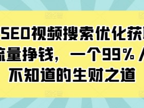抖音SEO视频搜索优化获取免费流量挣钱，一个99%人还不知道的生财之道