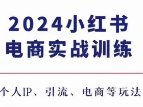 2024小红书电商3.0实战训练，包含个人IP、引流、电商等玩法