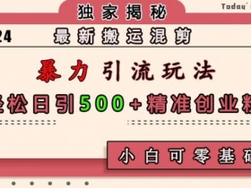 最新搬运混剪暴力引流玩法，轻松日引500+精准创业粉，小白可零基础上手