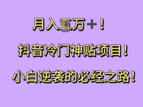 抖音冷门神贴项目，小白逆袭的必经之路，月入过W【揭秘】