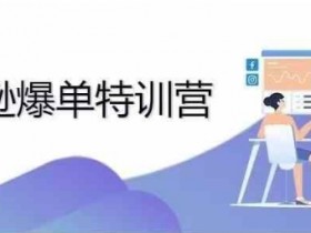2024年亚马逊爆单特训营，专制不出单，挑战日出千单