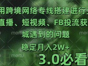 利用跨境电商网络及搭建TK直播、短视频、FB投流获客以及商城遇到的问题进行变现3.0必看版【揭秘】