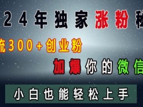2024年独家涨粉秘籍，日引流300+创业粉，加爆你的微信好友，小白也能轻松上手