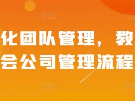 精细化团队管理，教你学会公司管理流程