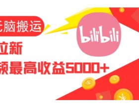 视频无脑搬运b站网盘拉新，单视频最高收益5k+【揭秘】