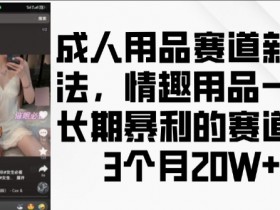 成人用品赛道新玩法，情趣用品一个长期暴利的赛道，3个月收益20个【揭秘】
