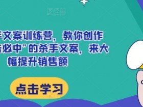 AI杀手文案训练营，教你创作出“一击必中”的杀手文案，来大幅提升销售额