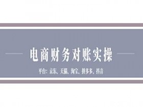 电商财务对账实操-京东天猫淘宝拼多多抖音电商财务对账