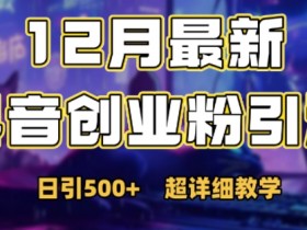 最新公开：12月份抖音日引500+创业粉秘籍