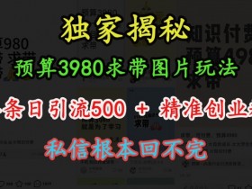 预算3980求带 图片玩法，单条日引流500+精准创业粉，私信根本回不完
