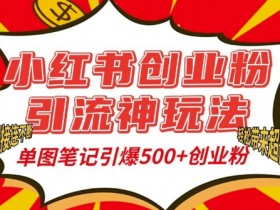 小红书创业粉引流神玩法，单图笔记引爆500+精准创业粉丝，私信狂潮接连不断