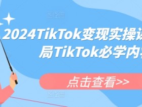 2024TikTok变现实操课程，入局TikTok必学内容