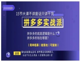 朋哥电商(拼多多实战派)，15节大课不讲废话只讲干货，简单粗暴 能落地 可复制