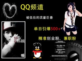 QQ频道：被低估的流量巨兽，单日引爆500+精准创业粉、兼职粉的引流秘籍
