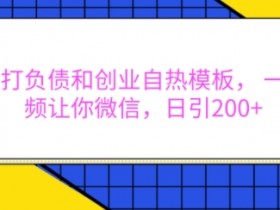 抖音打负债和创业自热模板， 一套视频让你微信，日引200+【揭秘】