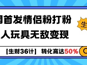 【生财36计】全网首发情侣粉打粉+大人玩具无敌变现