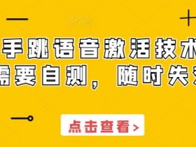 快手跳语音激活技术，需要自测，随时失效
