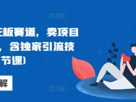 网创天花板赛道，卖项目月入6个，含独家引流技术(共26节课)