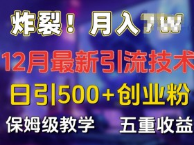 炸裂!揭秘12月最新日引流500+精准创业粉，多重收益保姆级教学