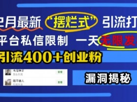 12月最新“摆烂式”引流打法，突破平台私信限制，一天无限发私信，单天引流400+创业粉