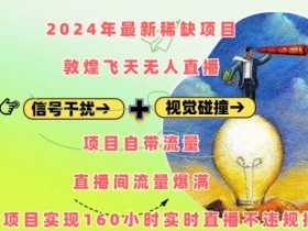 2024年最新稀缺项目敦煌飞天无人直播，项目自带流量，流量爆满，实现160小时实时直播不违规操