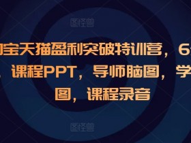 淘宝天猫盈利突破特训营，6天6夜，课程PPT，导师脑图，学员脑图，课程录音