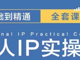 操盘手思维、个人IP、MCN孵化打造千万粉丝IP的运营方法论