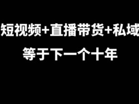 短视频+直播带货+私域等于下一个十年，大佬7年实战经验总结