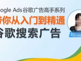 Google Ads谷歌广告高手 – 搜索广告，带你从入门到精通谷歌搜索广告
