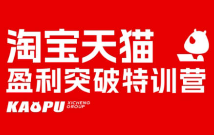 玺承电商·淘宝天猫盈利突破特训营