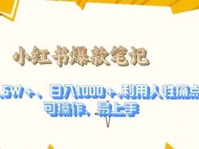 利用人性的痛点，打造爆款笔记，获得点赞超过1.5W+，日入1k【揭秘】