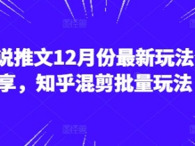 小说推文12月份最新玩法分享，知乎混剪批量玩法