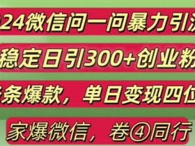 2024最新微信问一问暴力引流300+创业粉,条条爆款单日变现四位数【揭秘】