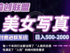 美女写真项目，低成本创业的机会，操作简单，只需要搬运，日入500+（更新）