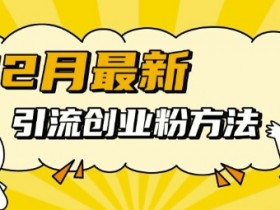 12月最新引流创业粉方法，方法非常简单，适用于多平台
