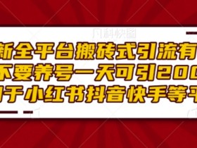 最新全平台搬砖式引流有手就行不要养号一天可引200+项目粉适用于小红书抖音快手等平台