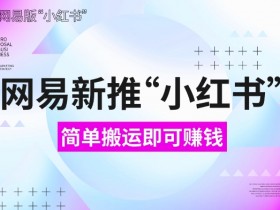 网易官方新推“小红书”，搬运即有收益，新手小白千万别错过(附详细教程)【揭秘】