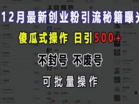 12月最新创业粉引流秘籍曝光 傻瓜式操作 日引500+ 不封号 不废号 可批量操作【揭秘】