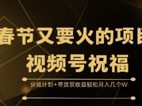 春节又要火的项目视频号祝福，分成计划+带货双收益，轻松月入几个W【揭秘】