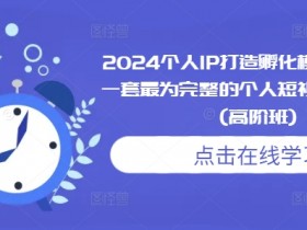 2024个人IP打造孵化模式流程课，一套最为完整的个人短视频落地课程(高阶班)