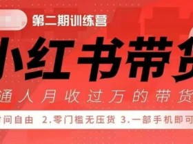 小Red书带货42天训练营 2.0版，宝妈+自由职+上班族+大学生，提高副业收入的大红利项目