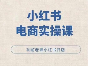 小红薯电商实操课，小红书开店实操必学课