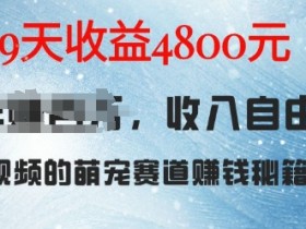 萌宠赛道赚钱秘籍：AI宠物兔视频详细拆解，9天收益4.8k