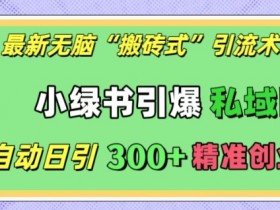 最新无脑“搬砖式”引流术，小绿书引爆私域圈，全自动日引300+精准创业粉【揭秘】