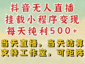 抖音无人直播挂载小程序变现每天纯利500+当天直播，当天结算支持工作室，可矩阵【揭秘】