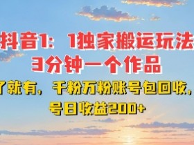 DY独家1：1搬运玩法，3分钟搞定一个作品，千粉万粉账号包回收，单号日收益2张【揭秘】