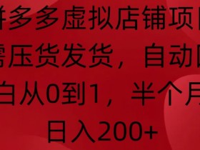 拼多多虚拟店铺项目，无需压货发货，自动回复，小白从0到1，半个月内日入200+【揭秘】