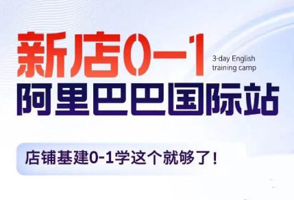 子龙老师·阿里巴巴国际站新店0-1