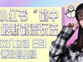 最新小红书截流玩法 独家截中截 单号成本几块钱 日引500+CY粉JZ粉